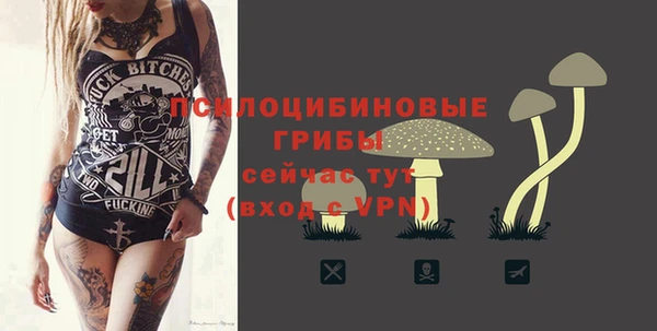mix Алексин