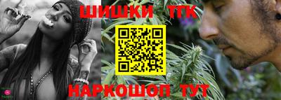 гашик Жуковский