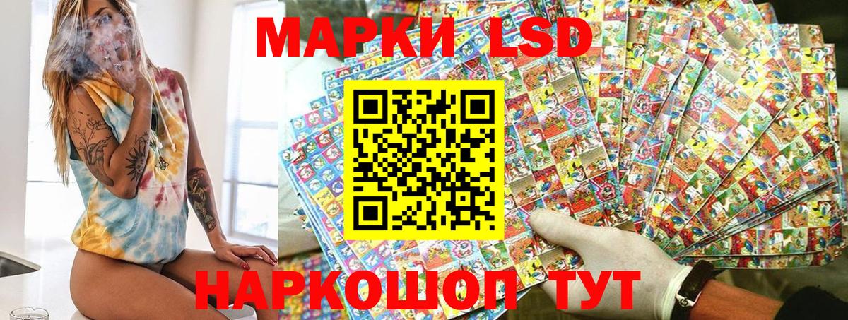 МЕФ Нижний Тагил